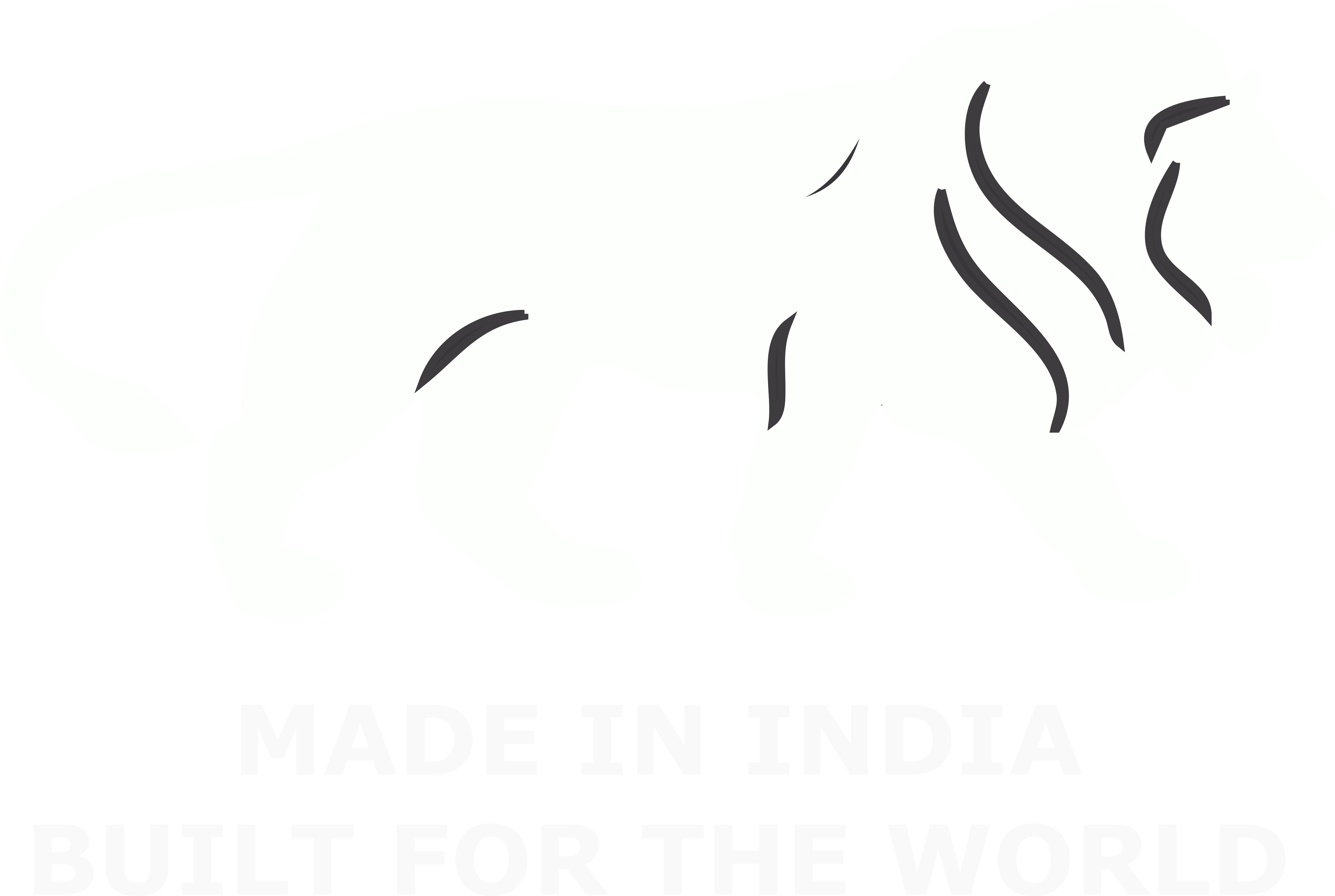 Make in India